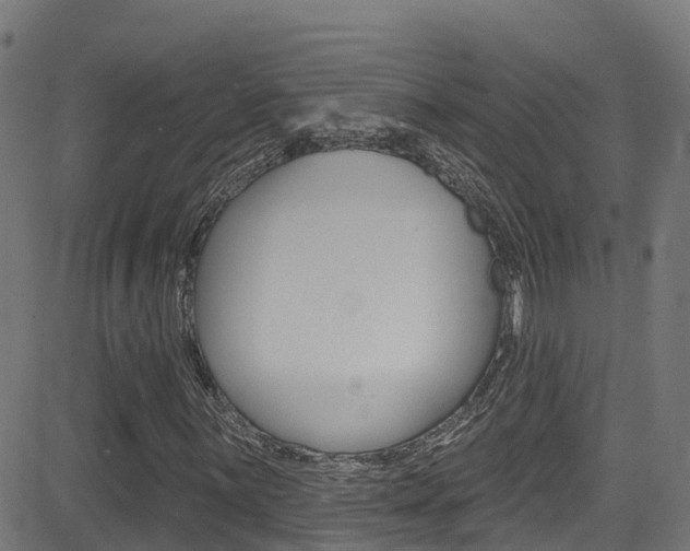 X0000081441059200701120939