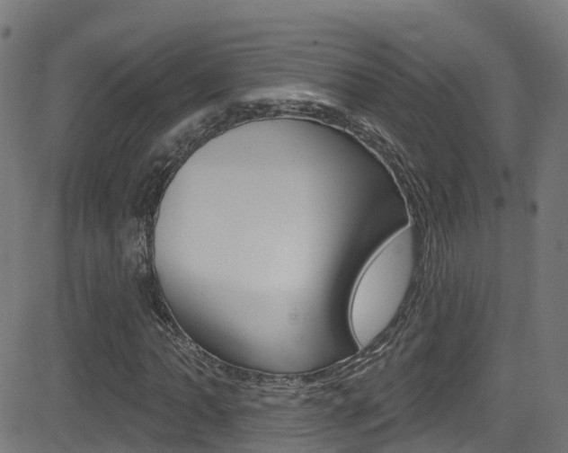 X0000081441062200701120939