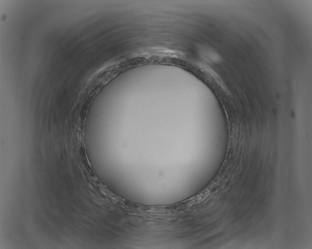 X0000081441063200701120939