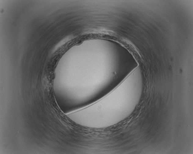X0000081441064200701120939