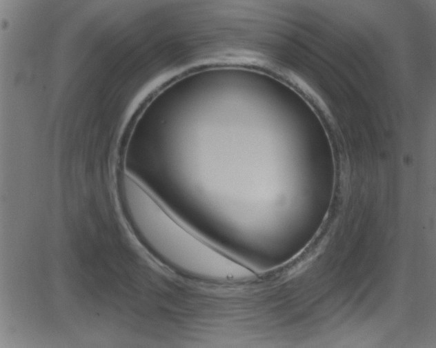 X0000081441085200701120938