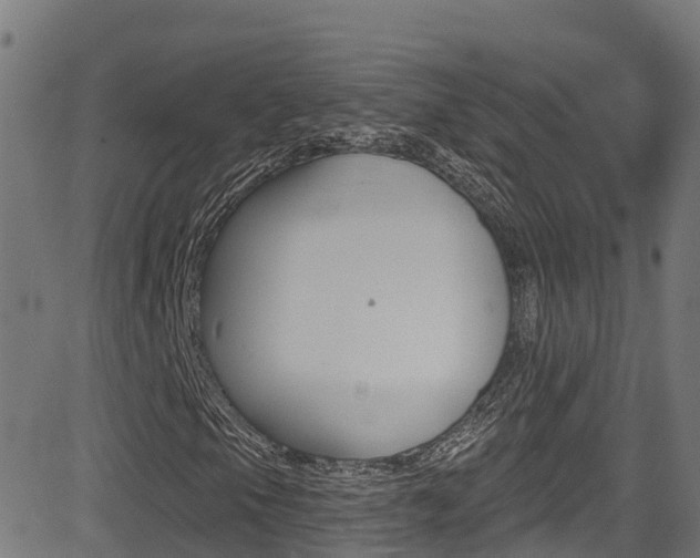 X0000081441105200701120937