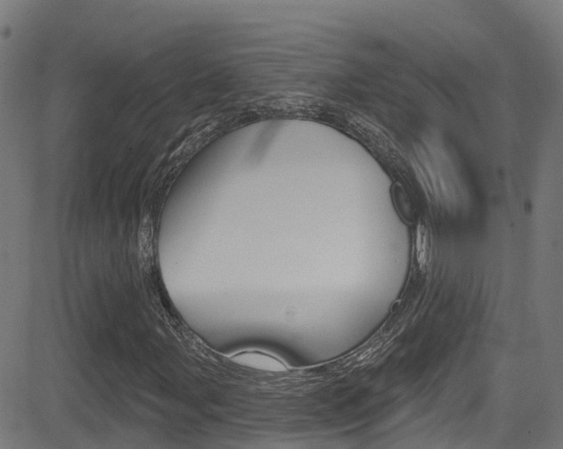 X0000081441107200701120937