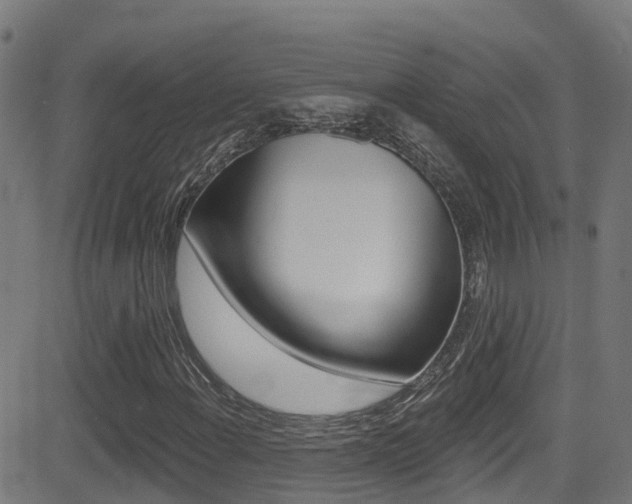 X0000081441108200701120937