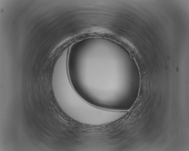 X0000081441112200701120937