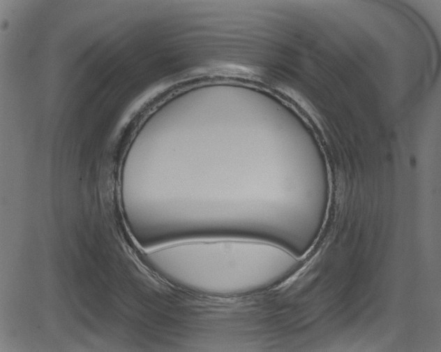 X0000081441115200701120937