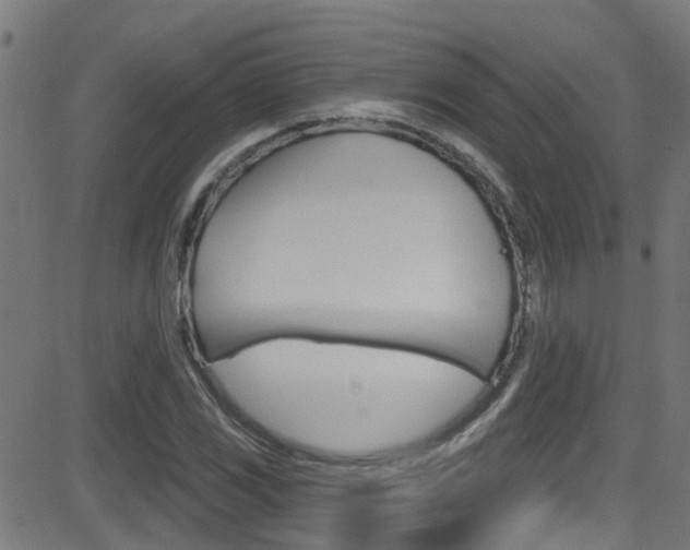 X0000081441117200701120937