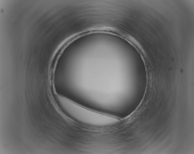 X0000081441124200701120938