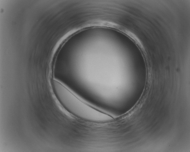 X0000081441136200701120938