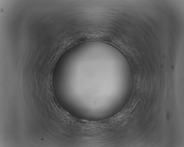 X0000081441153200701120937