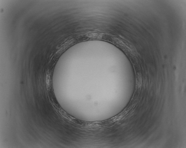 X0000081441154200701120937