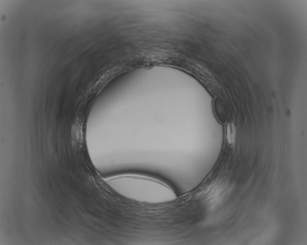 X0000081441155200701120937
