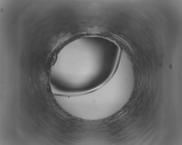 X0000081441160200701120937