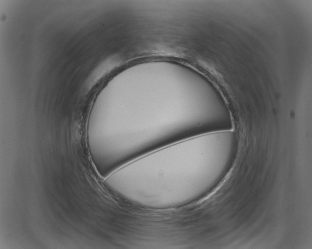 X0000081441163200701120937