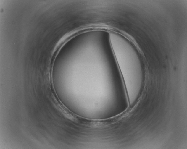 X0000081441176200701120937