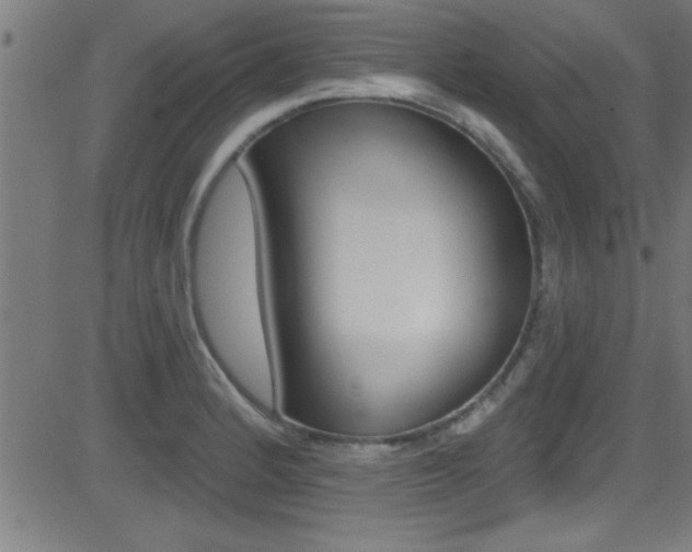 X0000081441184200701120937