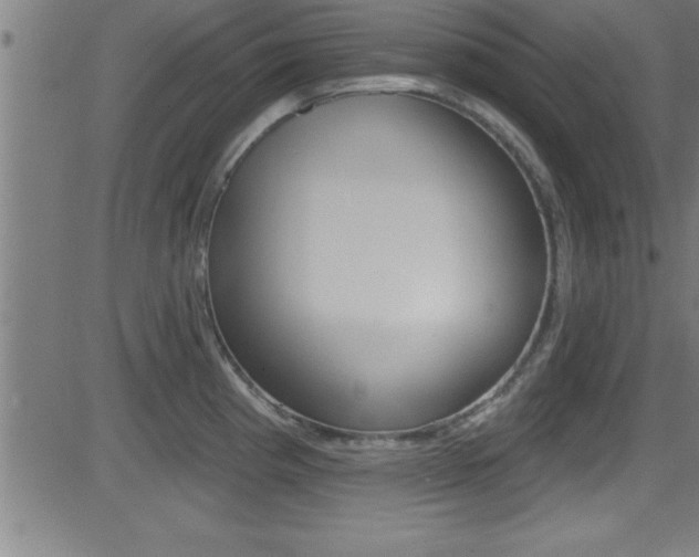 X0000081441193200701120937