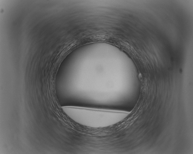 X0000081441201200701120936