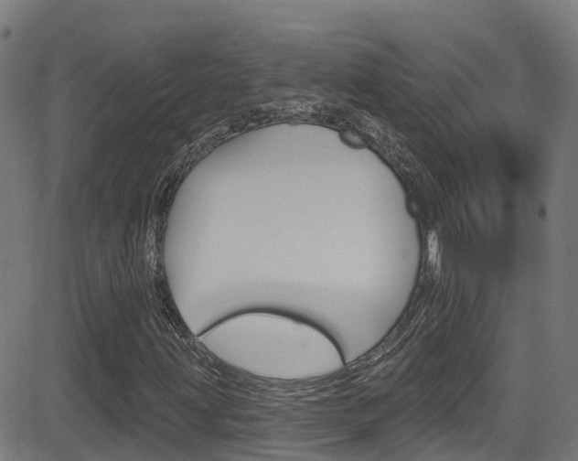 X0000081441203200701120936
