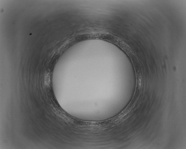 X0000081441204200701120936