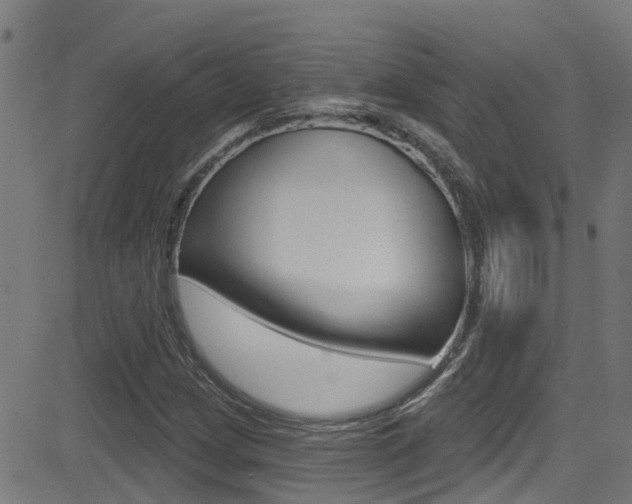 X0000081441209200701120936