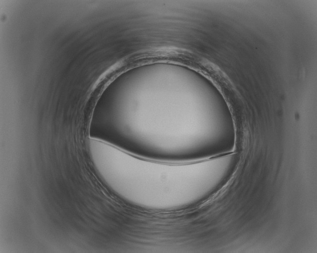 X0000081441210200701120936