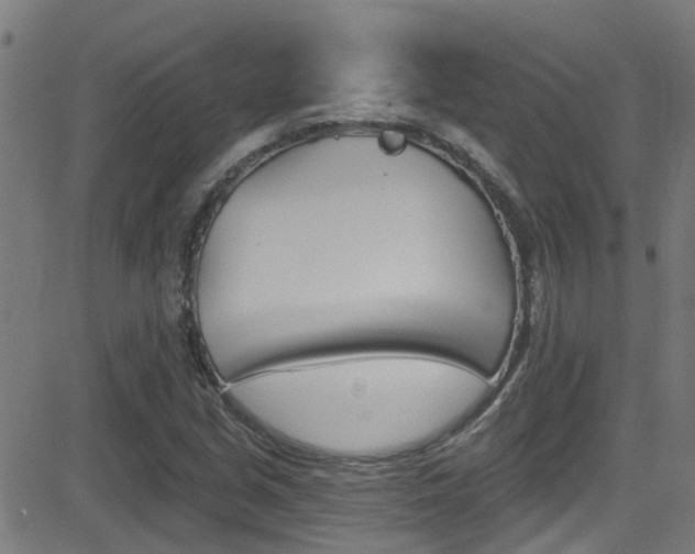 X0000081441213200701120936