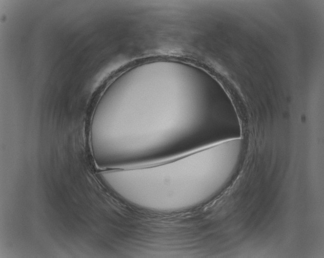 X0000081441214200701120936