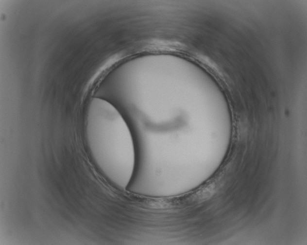 X0000081441219200701120936