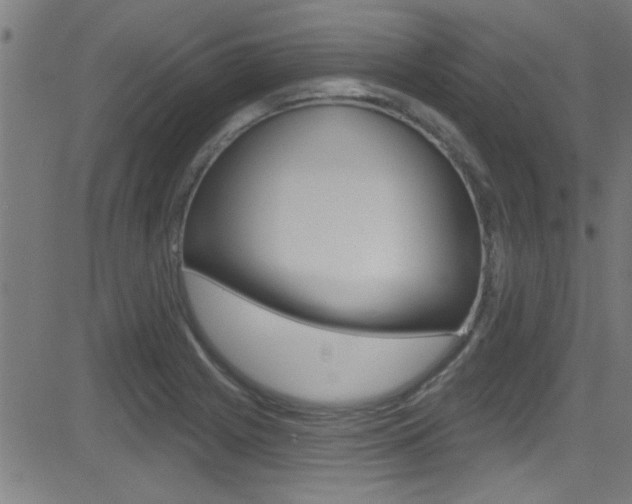 X0000081441225200701120936