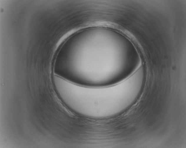X0000081441230200701120936