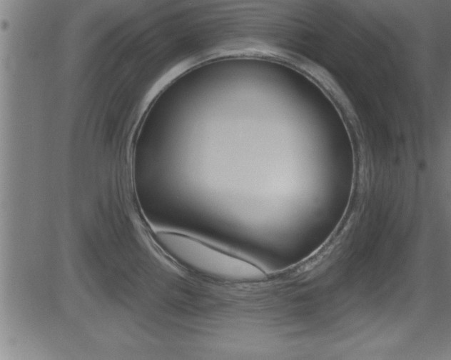X0000081441242200701120936