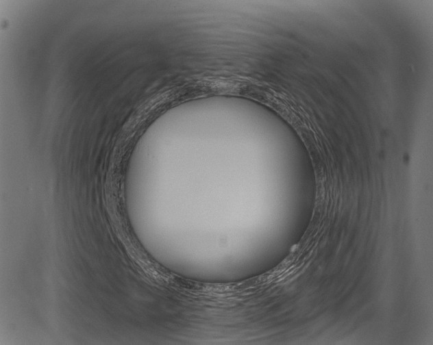 X0000081441249200701120936