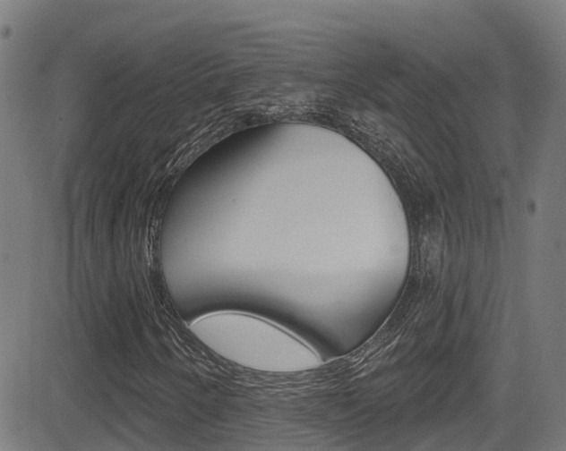 X0000081441250200701120936