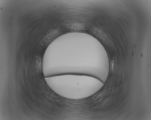 X0000081441251200701120936