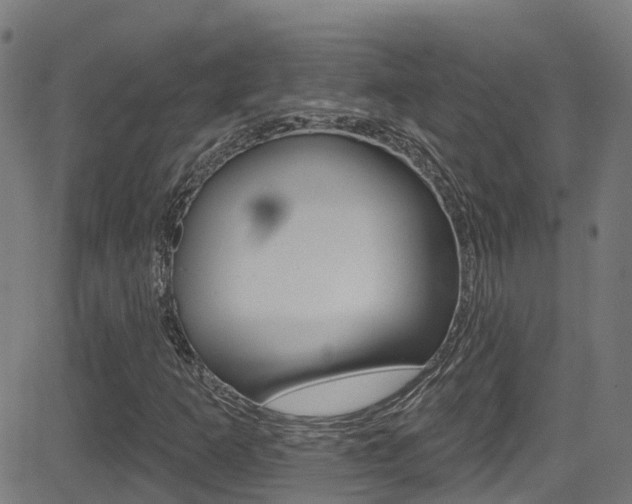 X0000081441253200701120936