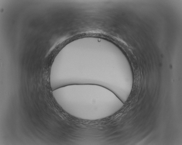X0000081441255200701120936