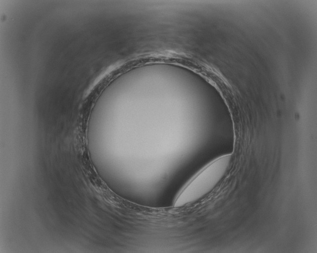 X0000081441256200701120936
