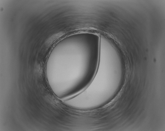 X0000081441257200701120936