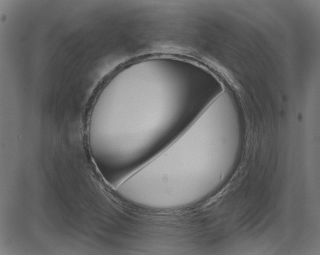 X0000081441264200701120935