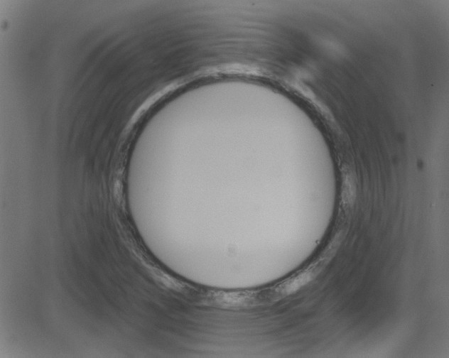 X0000081441266200701120935