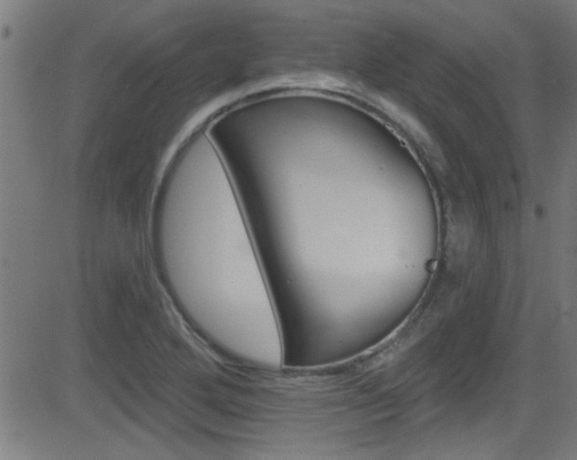 X0000081441272200701120935