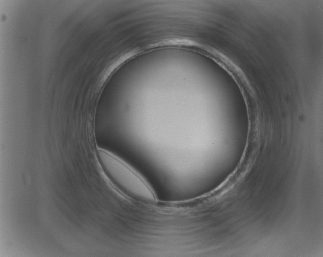 X0000081441281200701120935