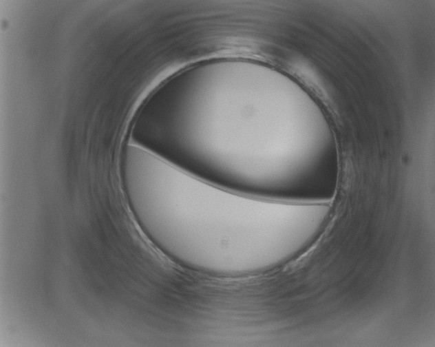 X0000081441284200701120935
