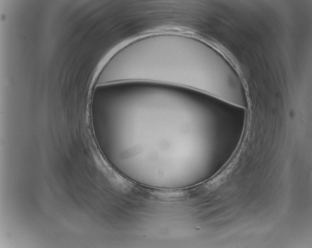 X0000081441296200701120935