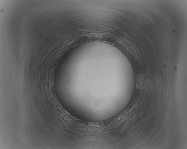 X0000081441297200701120934