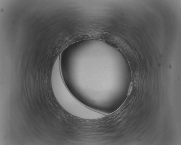 X0000081441298200701120934