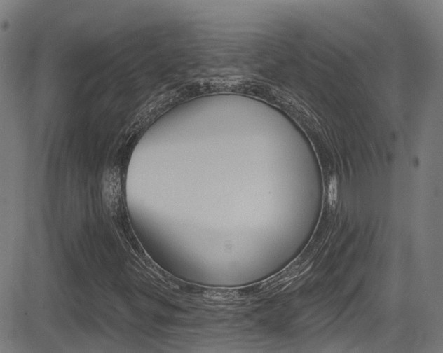X0000081441299200701120934