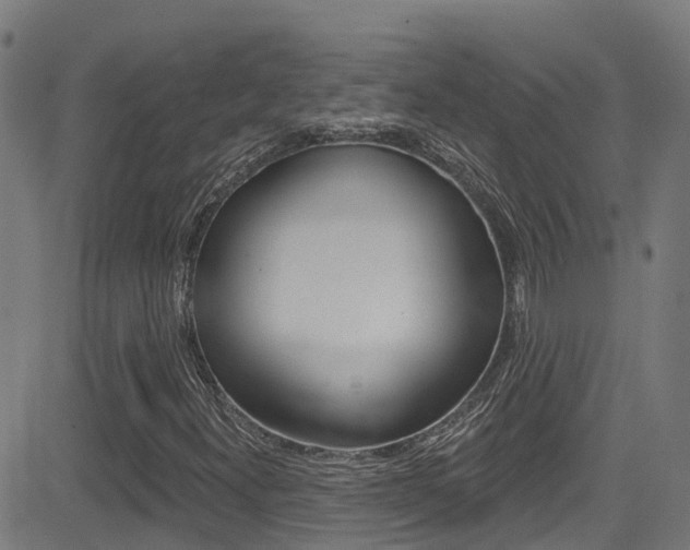 X0000081441300200701120934