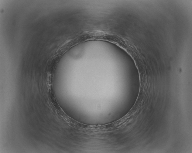 X0000081441301200701120934